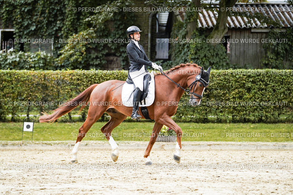 DSC08019 | Pferdegrafie