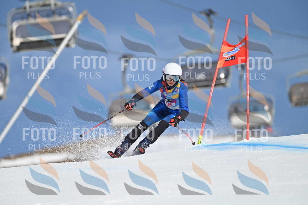 BGV_8494 | holidayphoto