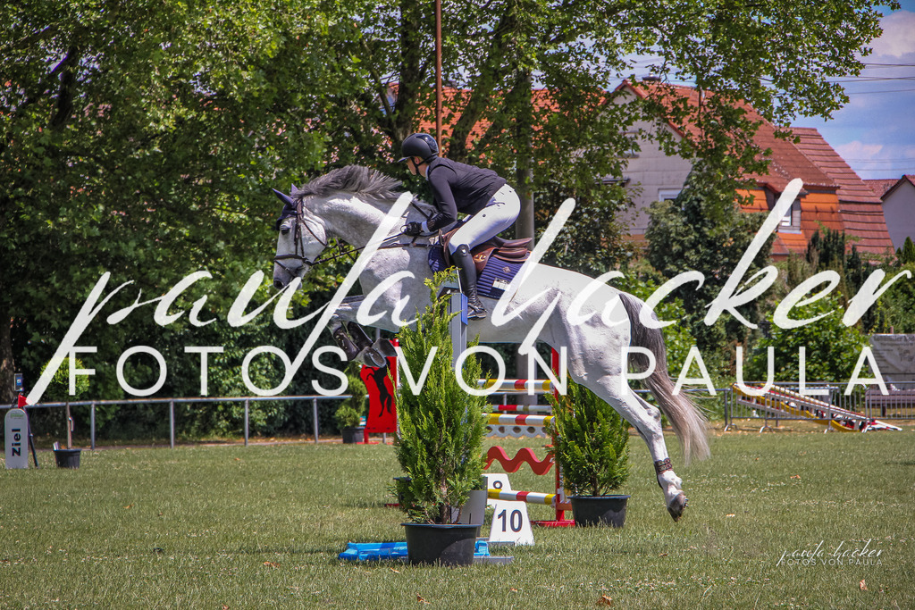 IMG_9470 | Erleben Sie dynamische Sport- und emotionale Tierfotografie in Süddeutschland mit Fotos von Paula. Spezialisiert auf Pferde- und Hundefotografie sowie Sportevents. Kontaktieren Sie mich für einzigartige und ausdrucksstarke Bilder Ihrer besonderen Momente. - Realisiert mit Pictrs.com
