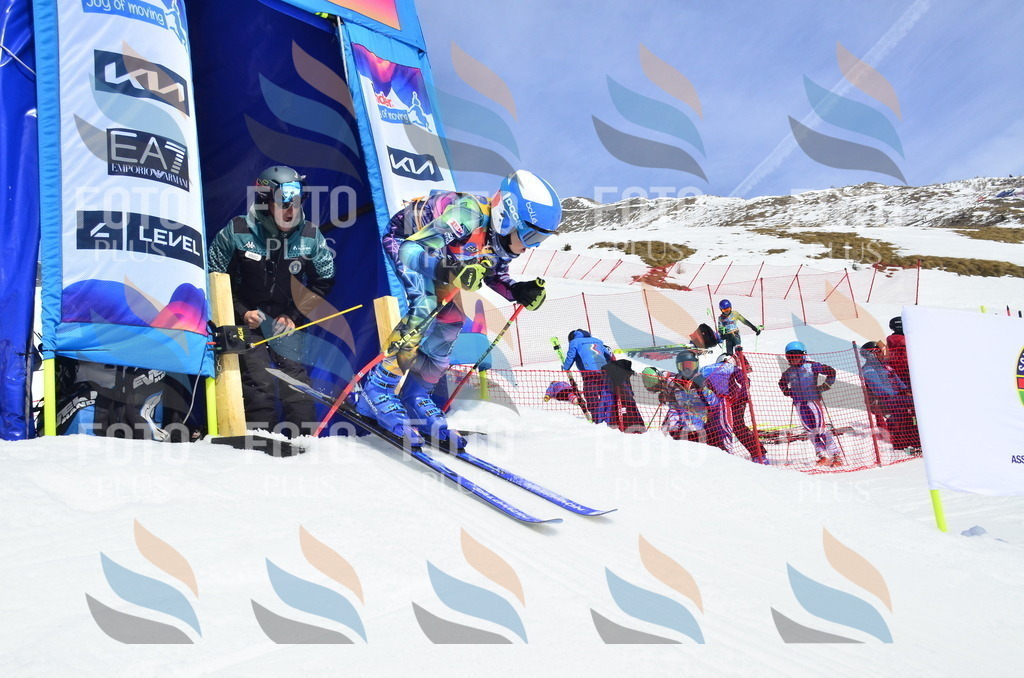 _ELE1617 | holidayphoto