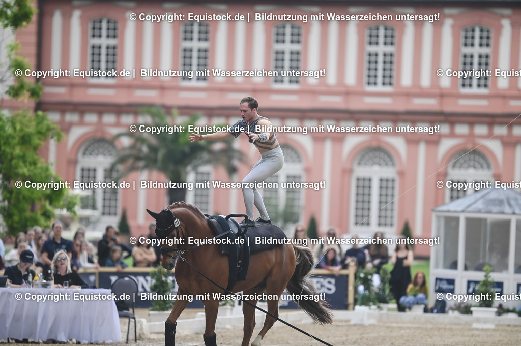 20240519_Voltige_0578 | Foto: Thomas Hartig