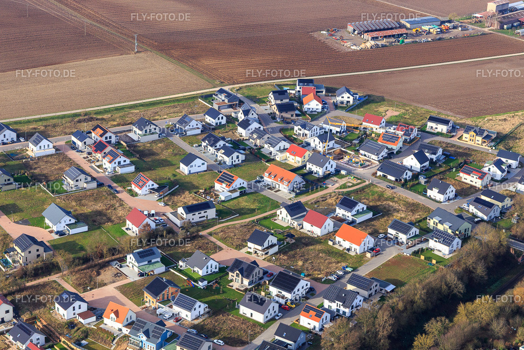 Veilchenweg, Narzissenweg | Luftbild: Veilchenweg, Narzissenweg in Kandel im Bundesland Rheinland-Pfalz in Deutschland. Foto: IMG_145087.jpg vom 04.01.2025 durch ©2025 Werner Riehm fly-foto.de/copyright - Realisiert mit Pictrs.com