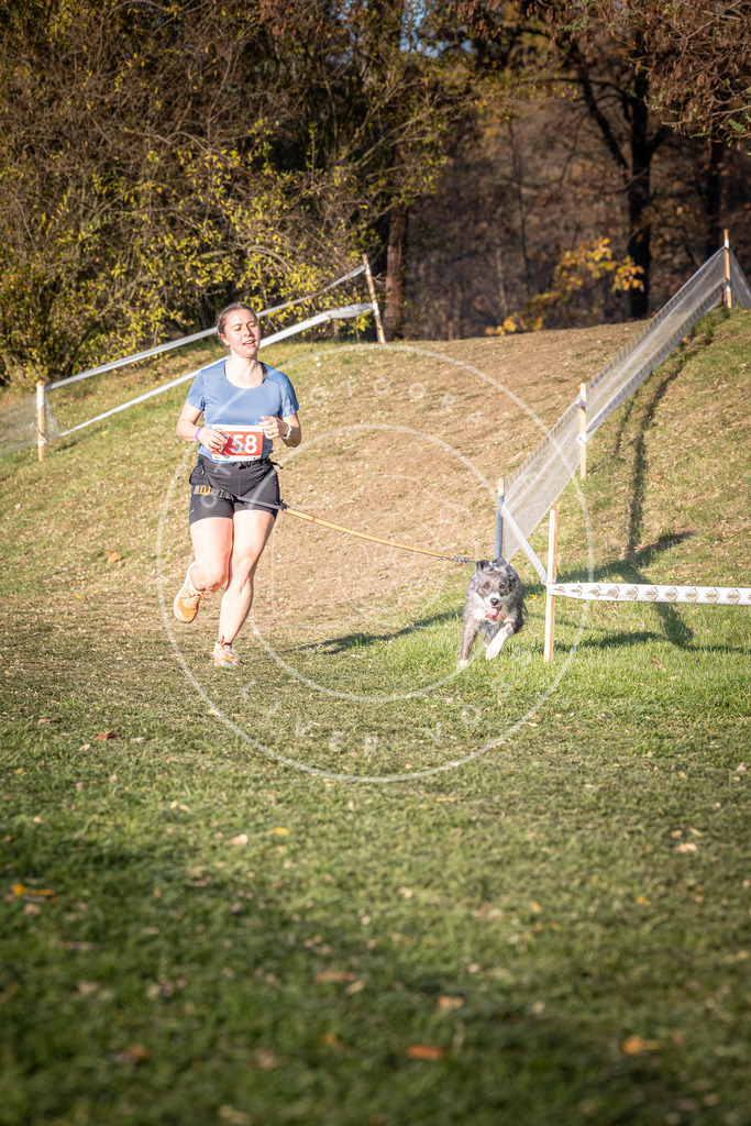 CaniXpix_0L8A0003 | Hundefotografie, Tierfotograf, Pfotenfotografie, Fotoshooting Hund, Hunde Portrait, Hundesport, Hundeportraits, Heideshooting, Hunde, Sportfotograf, Hundefotograf, Turnierhundsport, THS,  - Realisiert mit Pictrs.com
