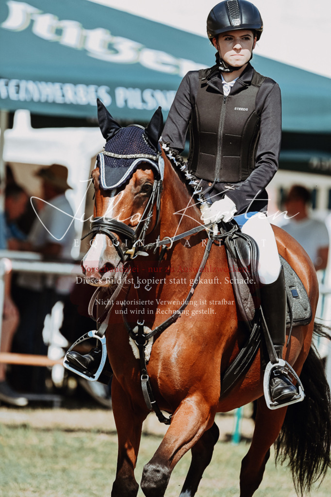DSC_9770 | Pferde- und Turnierfotografie in Westsachsen. Pferdeportraits, Auftragszeichnungen und intuitive Kunst.