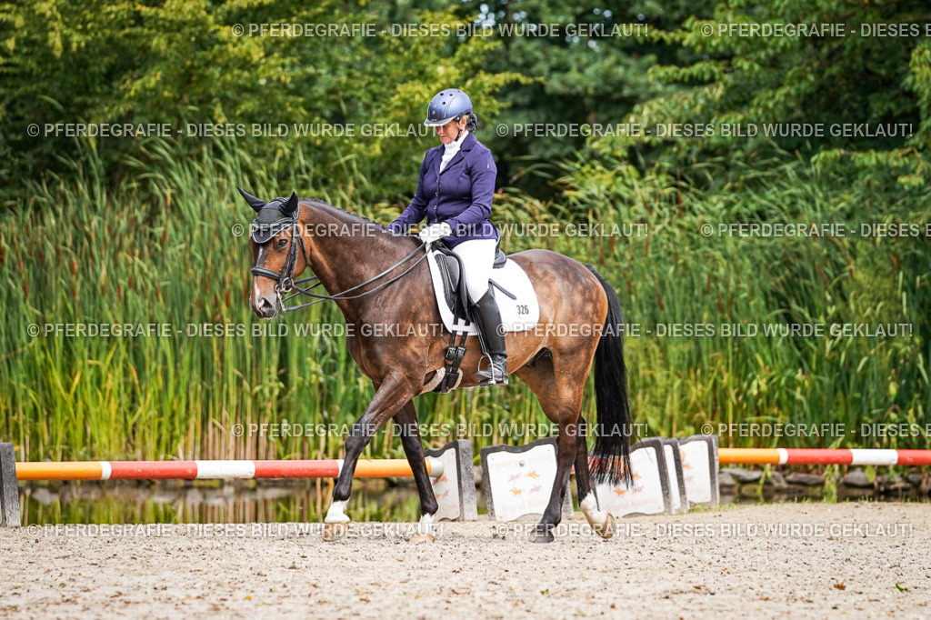 DSC02566 | Pferdegrafie