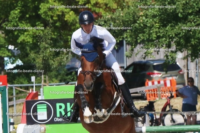 Zeit L (8) | Fotografie, Tiere, Hunde, Katzen, Pferde, Sportfotografie, Fotosession, Tierfotografie, Turnierfotografie, Fotografin, Fotograf - Realisiert mit Pictrs.com