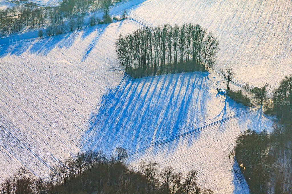 Luftbild: Kahles Wäldchen auf Acker bei Schnee im Winter in Berg im Bundesland Rheinland-Pfalz in Deutschland. Foto: IMG_36574.jpg vom 05.01.2011 durch Werner Riehm/FLY-FOTO.de