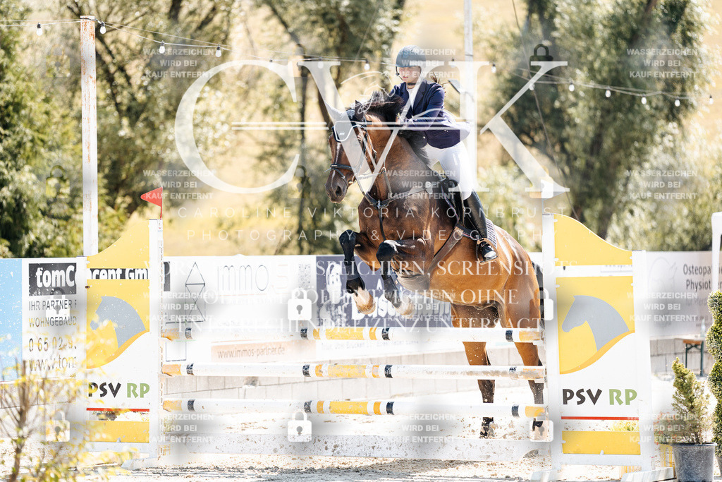 CK909251 | Turnierfotografie Pferdefotografie Trier Rheinland-Pfalz Pferdesport Reitsport Tierfotografie Sportfotografie Pferdevideo Pferdevideografie Equestrianvideography equestrianphotography  - Realisiert mit Pictrs.com