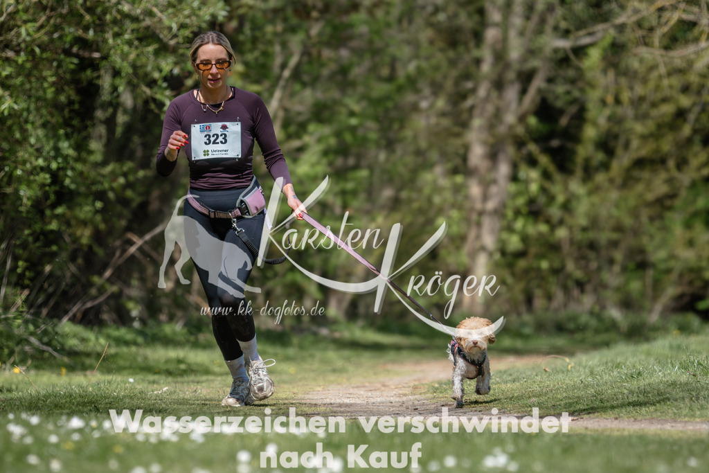 1250DZ6_5089 | kk-dogfotos