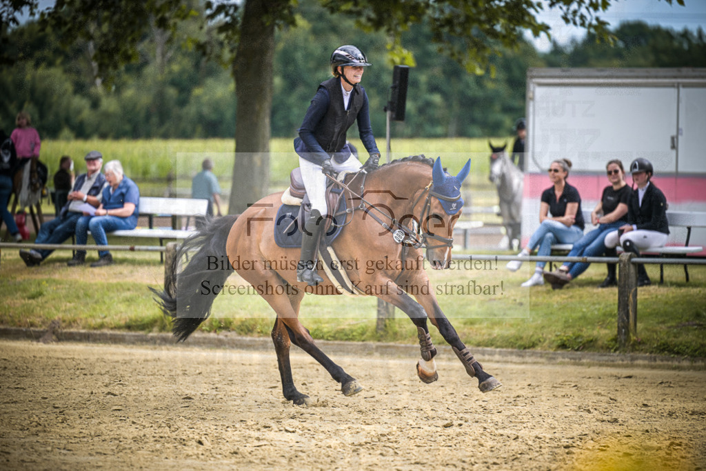 DOS_3527 | Entdecke hochwertige Reitturnierfotos von Foto Oger. Professionell, emotional und authentisch – jetzt Lieblingsmomente im Shop bestellen.Deutschlandweite Turnierfotografie. - Realisiert mit Pictrs.com