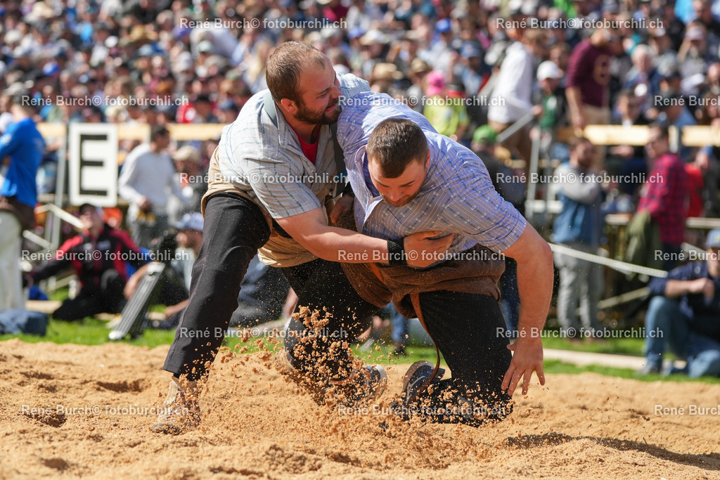 RB-09174 | René Burch leidenschaftlicher Fotograf aus Kerns in Obwalden.  Hier finden sie Sport, Landschaft und Natur Fotografie.
 - Realisiert mit Pictrs.com