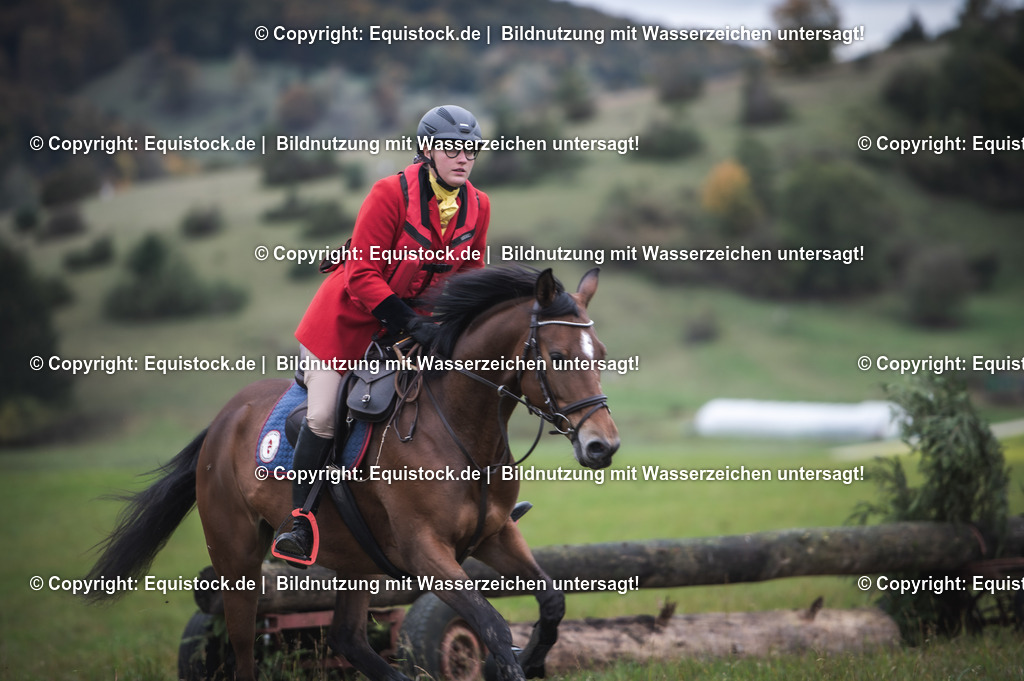 20241013_Jagd-Marbach_0225 | Foto: Thomas Hartig