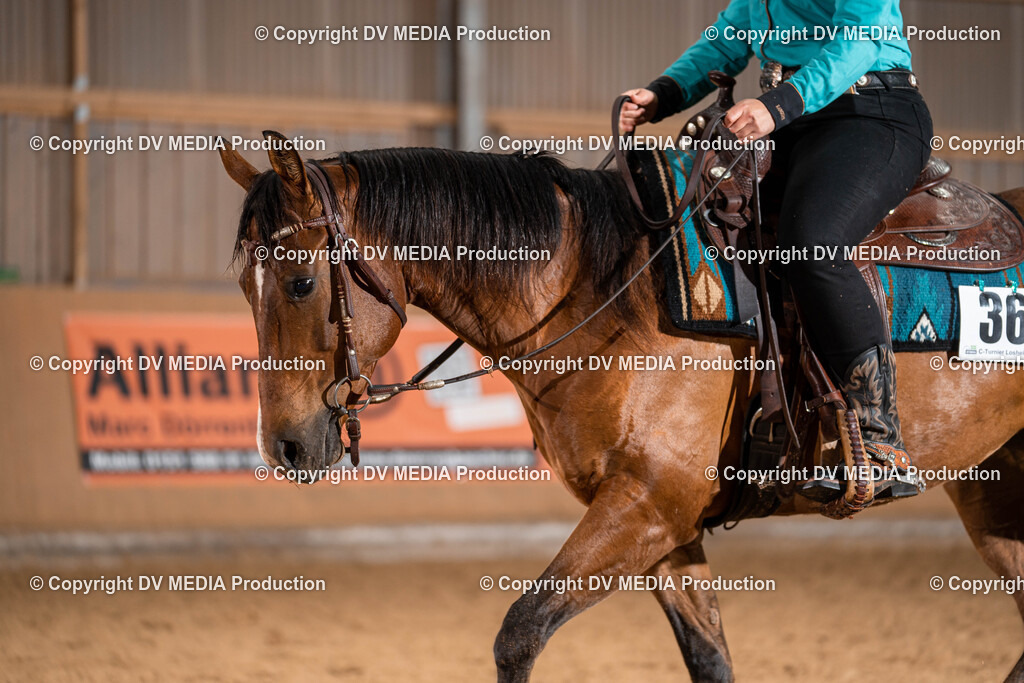 Losheim Tag 1-217 | dv-media-shop - Realisiert mit Pictrs.com