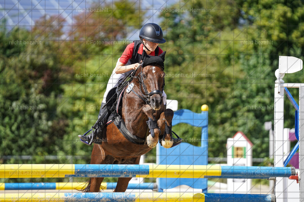 20240824-FAH08335 | Thierhaupten 2024, Bayerisches Landesponyturnier, Turnierbilder, Ponybilder, Turnierfotografen Bayern, Fotoagentur Herrmann