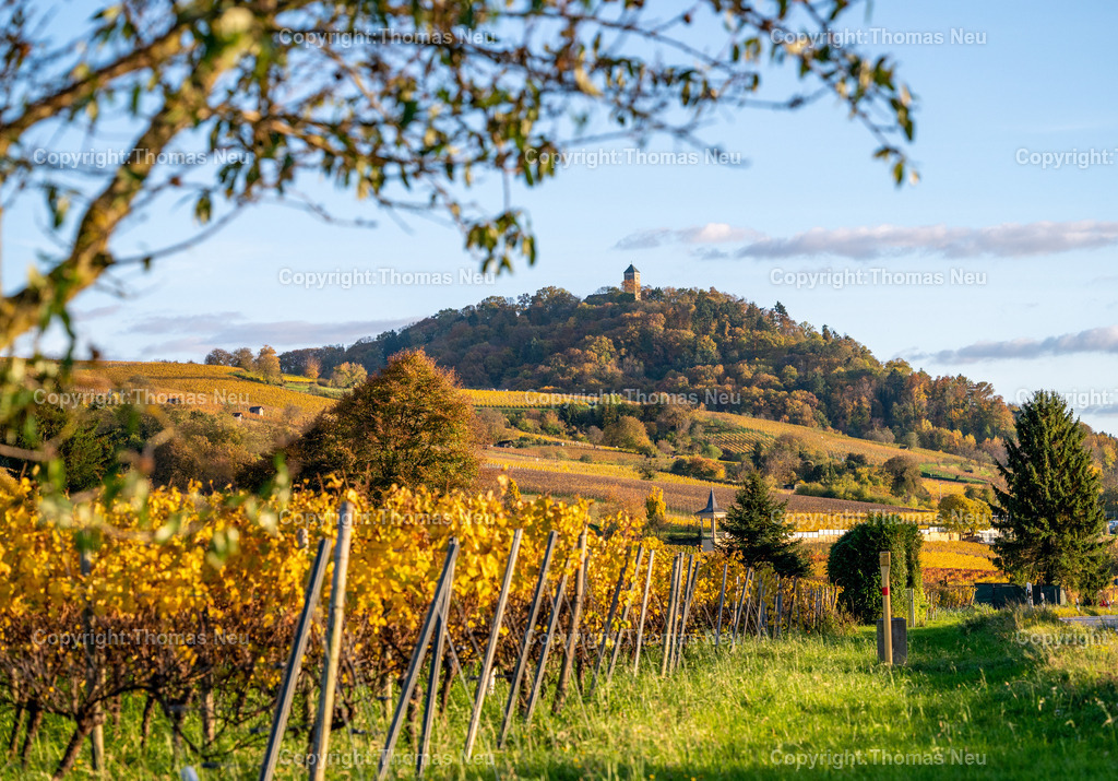 Goldener-Oktober_Weinberge-Bergstrasse-4 | bre,bbe, Golderner Oktober an der Hessischen Bergstraße, zwischen  Bensheim und Heppenheim mit bunt gefärbten Weinbergen, ,, Bild: Thomas Neu