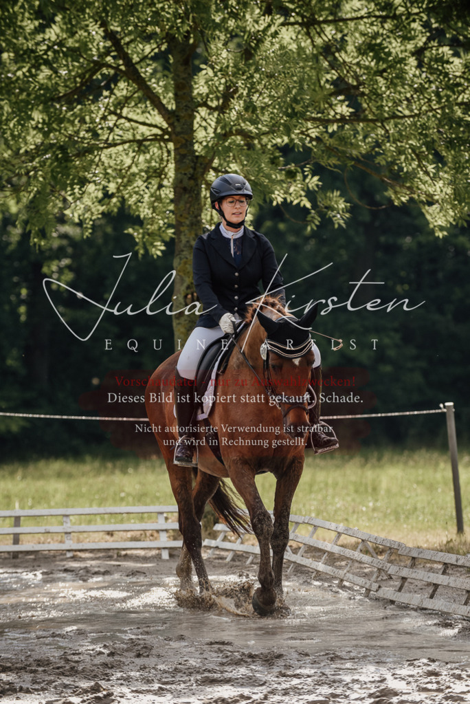 DSC_8881 | Pferde- und Turnierfotografie in Westsachsen. Pferdeportraits, Auftragszeichnungen und intuitive Kunst.
