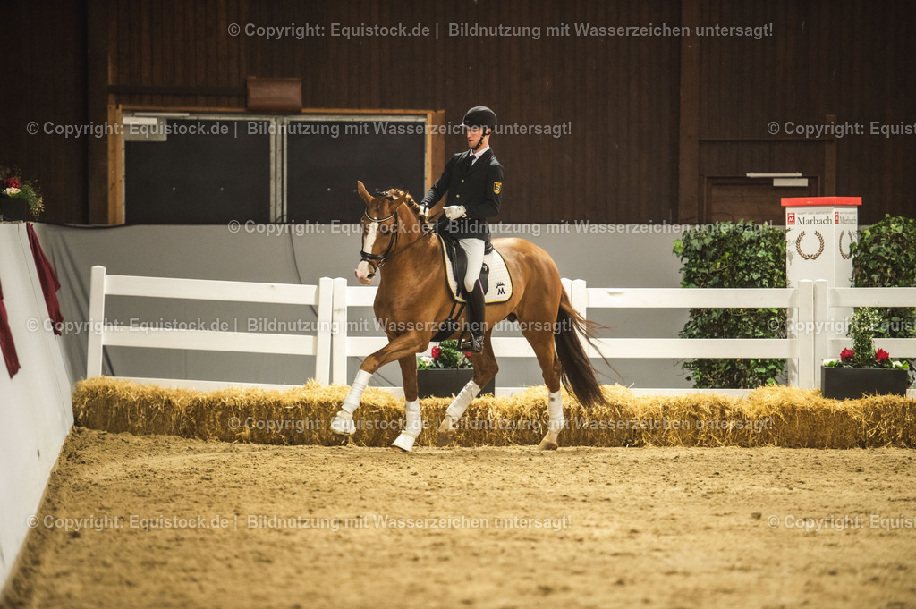 20240302_Hengstvorstellung_Marbach_TOMsPiC_0574 | equistock