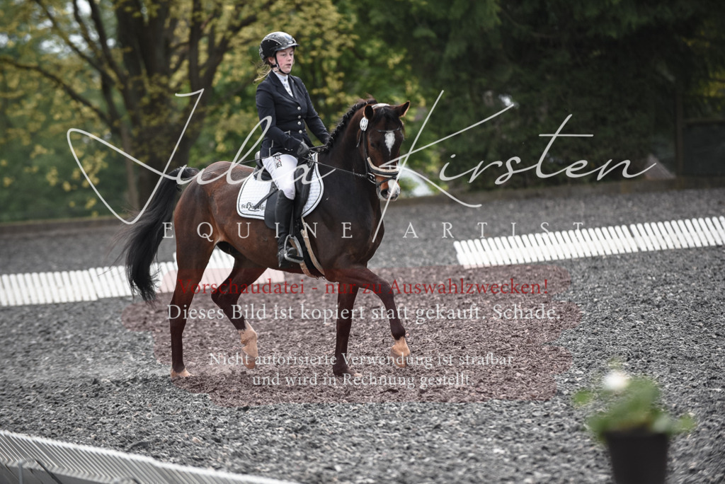 20230513_JK-Röhrsdorf-14-962 | Pferde- und Turnierfotografie in Westsachsen. Pferdeportraits, Auftragszeichnungen und intuitive Kunst.