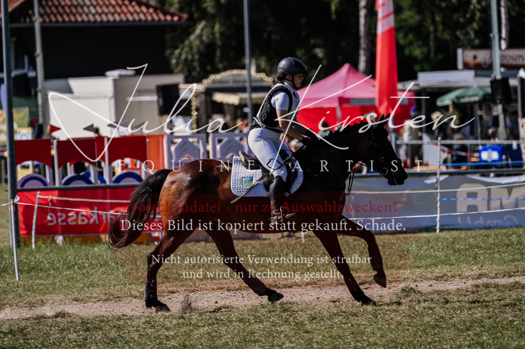 DSC_1509 | Pferde- und Turnierfotografie in Westsachsen. Pferdeportraits, Auftragszeichnungen und intuitive Kunst.