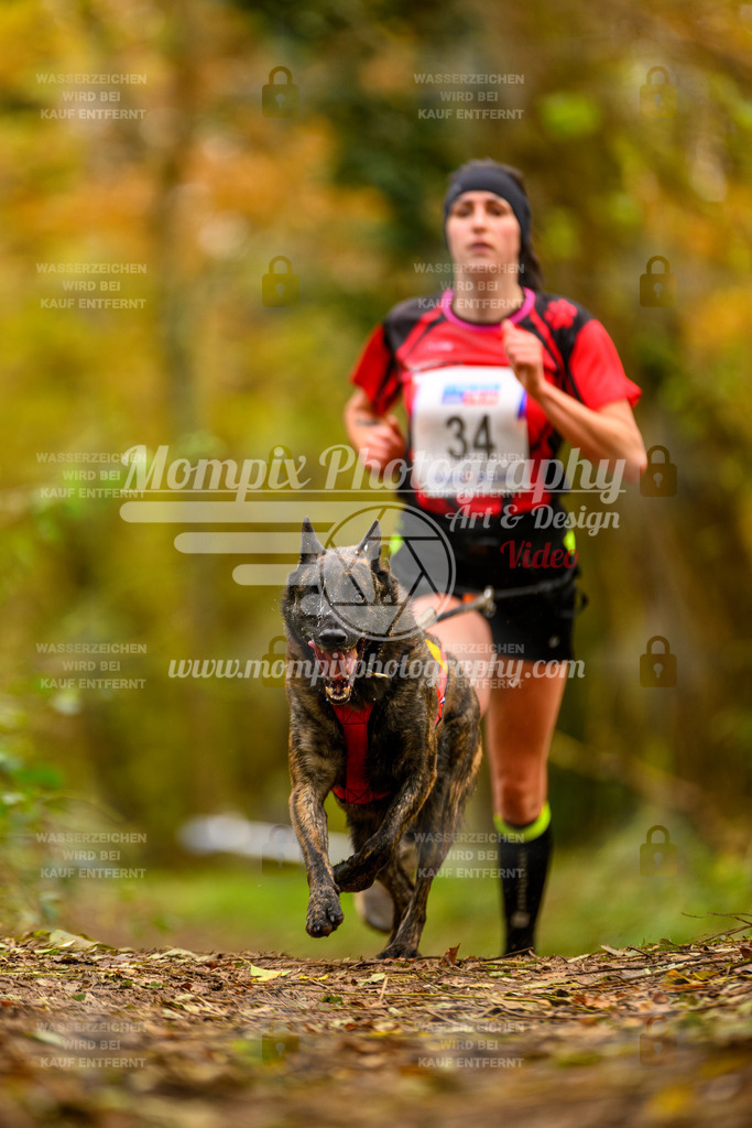 MompixPhotography_Bischwiller24_SA_Canicross-9 | PayLife