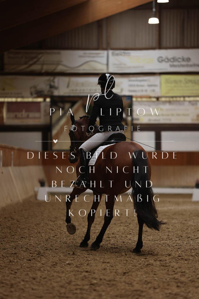 IMGM6729 | pl-fotografie