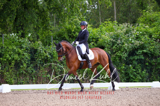 DKP41620 | Turnierfotos kaufen im Webshop von Daniel Kuhl Photography – entdecke professionelle Reitsportfotos aus Turnieren & Events. Hochwertige Turnierbilder online bestellen & sichern. Jetzt Fotos von Reitsportturnieren kaufen!