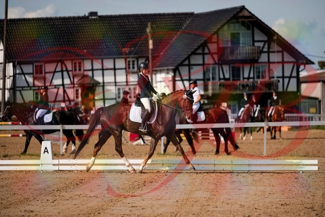 2026_10_03_Siefer-Hof_114740_Z63_26844940 | Professionelle Reitsport-, Turnier- und Eventfotografie von Robert Broda. Galerien mit ausgewählten und bearbeiteten Bildern direkt online ansehen und bestellen.