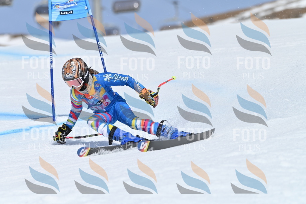 BGV_0527 | holidayphoto