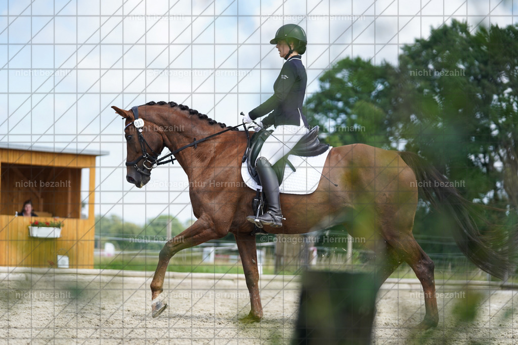 20230826-FAH05478 | Forstinning, 2023, Dressurturnier, Turniersportbilder, Turnierfotografen Bayern, Fotoagentur Herrmann, Reitsportfotografie, Turnierbilder