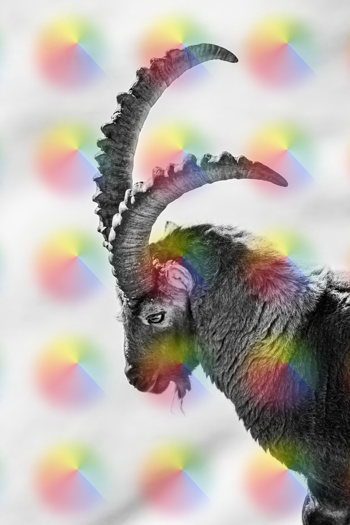 148A4937 | FineArtPrint, Hahnemühle, FeeGalerie, Fee Galerie, Fotokunst, Fotografie, Canonphotography, Bergfoto, Matterhorn, Rimpfischhorn, Allalinhorn, Saas-Fee, Wallis, Valais, Switzerland, Bergfotografie