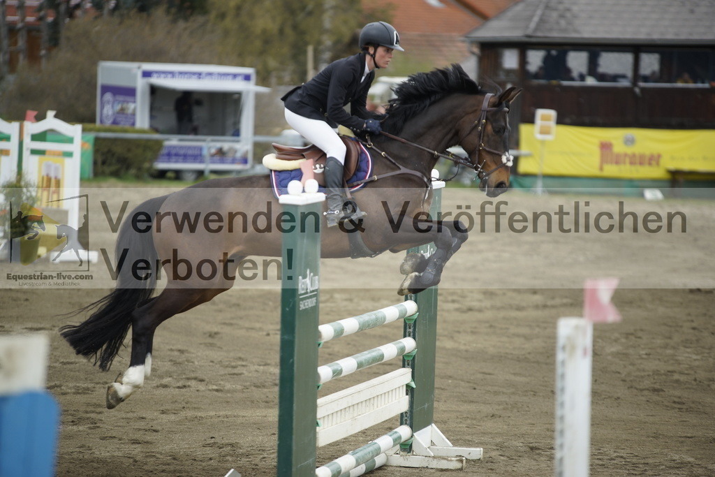 _DSC7371 | equestrian-live-com