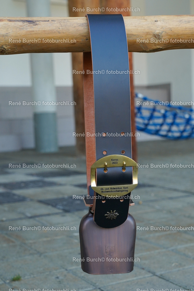 DSC00267 | René Burch leidenschaftlicher Fotograf aus Kerns in Obwalden.  Hier finden sie Sport, Landschaft und Natur Fotografie.
 - Realisiert mit Pictrs.com