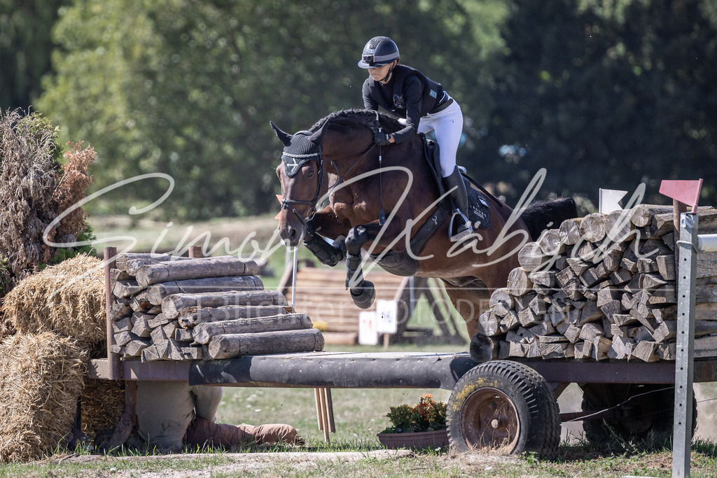 20260906-_3LI4245 | Tierfotografie Pferde, Hunde, Katzen, Haustiere.
Turnierfotografie Reitturniere, Reiten, Springreiten, Dressur in Hanau, dem Main-Kinzig-Kreis und dem Rhein-Main- Gebiet um Frankfurt