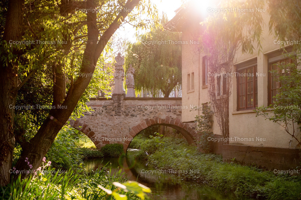 DSC_5102 | Morgenstimmung an der Lauter, Winkelbach, Die Lauter kommt aus dem Lautertal nach Bensheim geflossen und heißt hinter der Mittelbrücke in Bensheim dann Winkelbach, Unser Blick geht vom Westen in den Osten und zeigt den Bereich Winkelbach, Bild: Thomas Neu