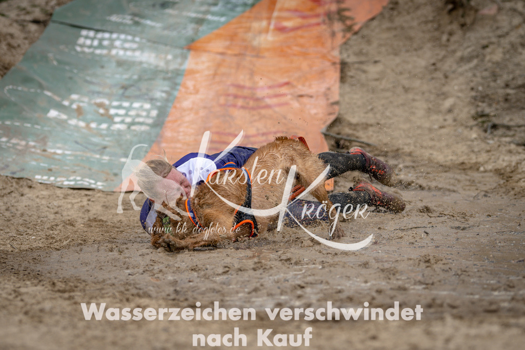 1233DSC_2123 | kk-dogfotos