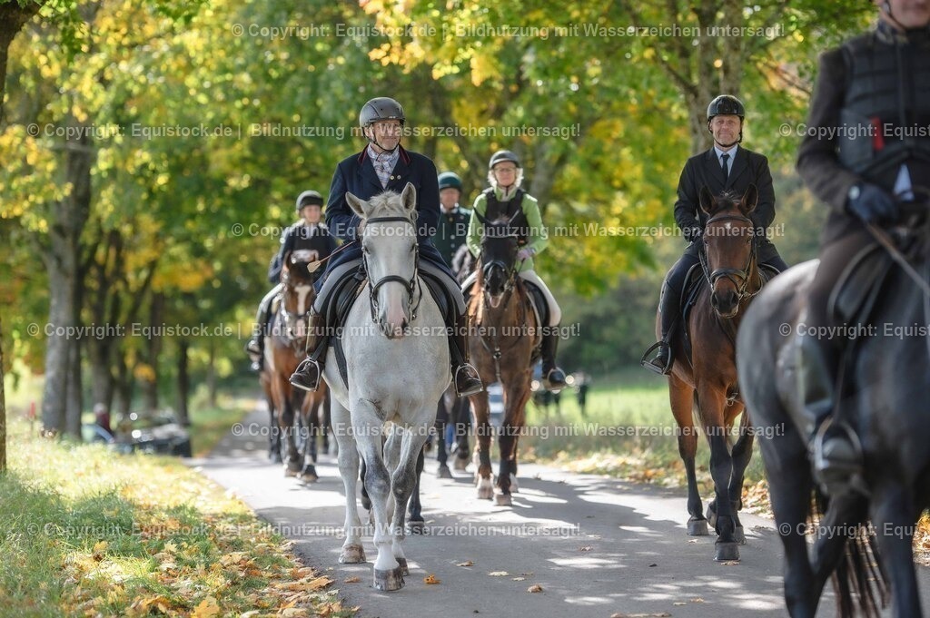 20251011_Jagd-Marbach_0304 | Foto: Thomas Hartig