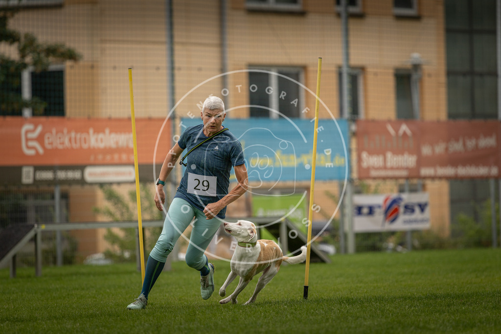 Pfotenfotografie_DV3A8265 | Hundefotografie, Tierfotograf, Pfotenfotografie, Fotoshooting Hund, Hunde Portrait, Hundesport, Hundeportraits, Heideshooting, Hunde, Sportfotograf, Hundefotograf, Turnierhundsport, THS,  - Realisiert mit Pictrs.com