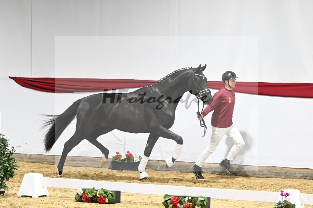 Kat-Nr. 65 v. Ferrantino_Greim_63221635 | hf-fotografie - Realizzato con Pictrs.com