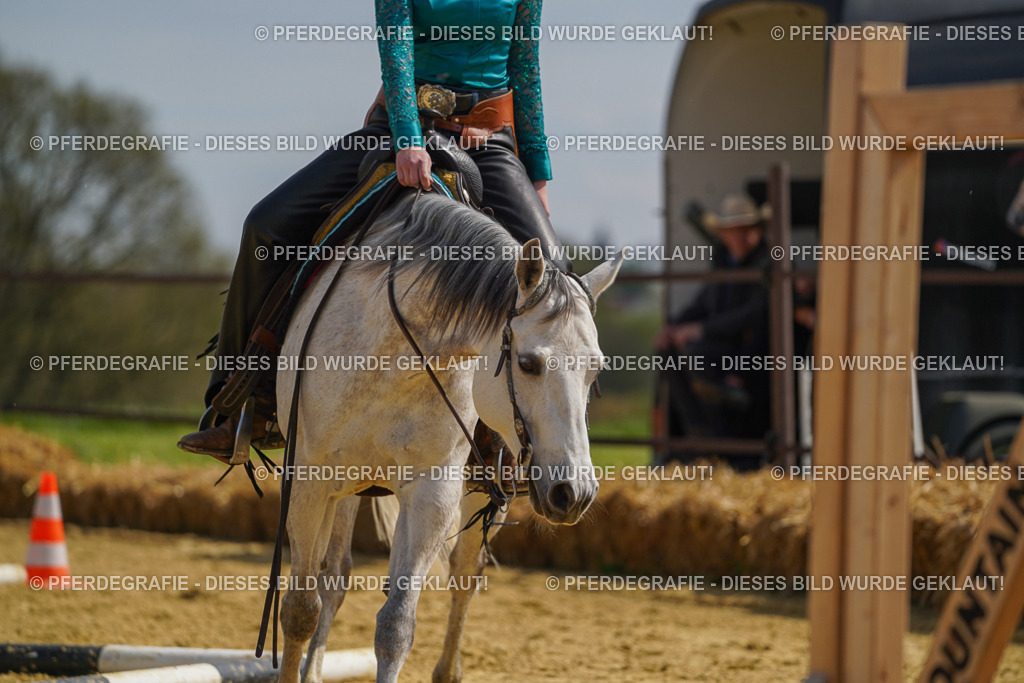 DSC04557 | Pferdegrafie