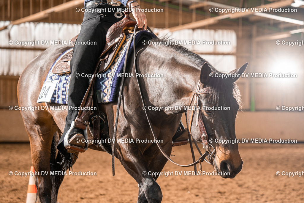 BAL00553 | dv-media-shop - Realisiert mit Pictrs.com