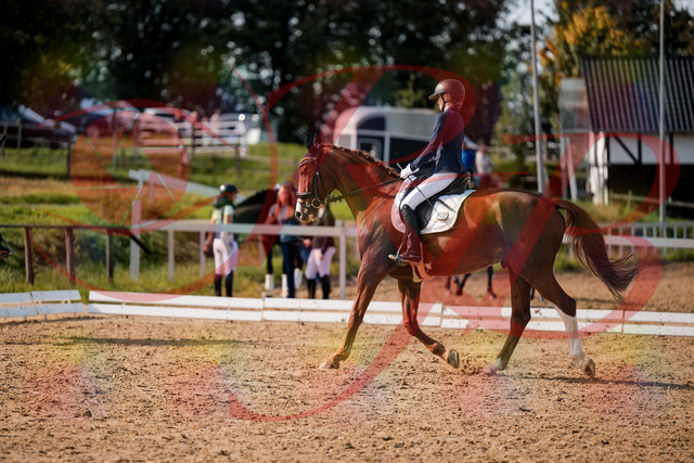 2026_10_03_Siefer-Hof_132853_Z63_90371205 | Professionelle Reitsport-, Turnier- und Eventfotografie von Robert Broda. Galerien mit ausgewählten und bearbeiteten Bildern direkt online ansehen und bestellen.