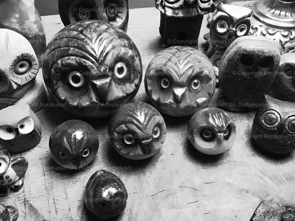 IMG_3240 | photograph1 - Realisiert mit Pictrs.com