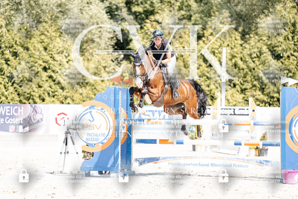 CK900917 | Turnierfotografie Pferdefotografie Trier Rheinland-Pfalz Pferdesport Reitsport Tierfotografie Sportfotografie Pferdevideo Pferdevideografie Equestrianvideography equestrianphotography  - Realisiert mit Pictrs.com