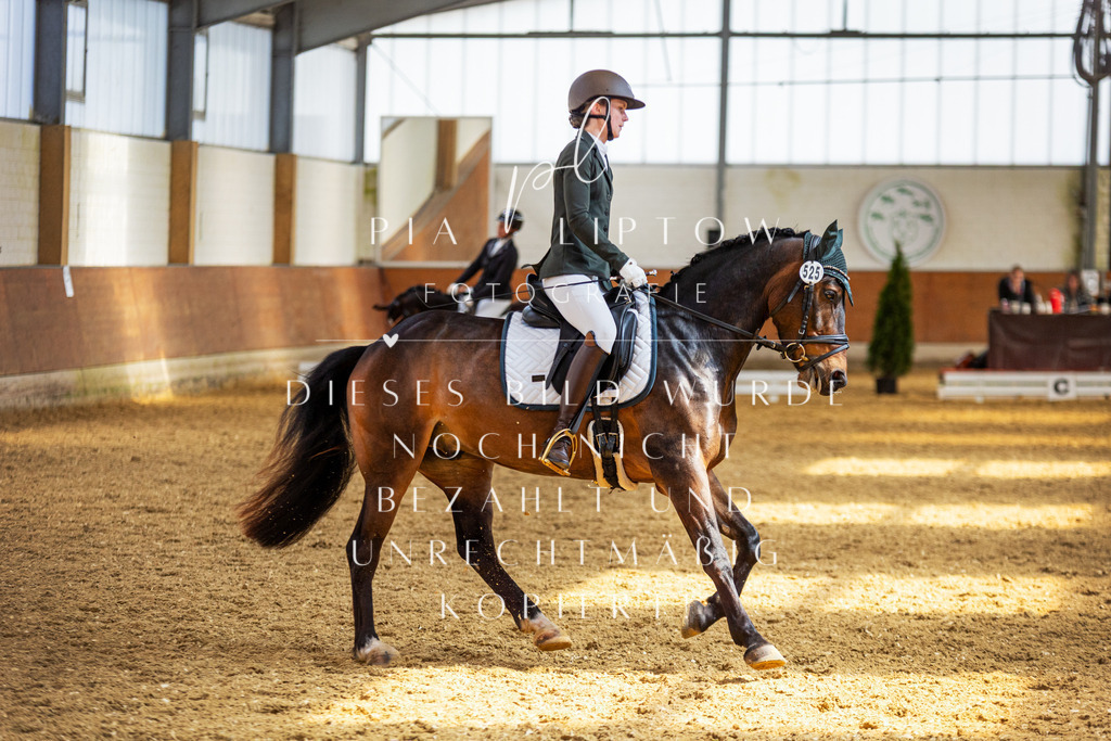 IMGT5273 | pl-fotografie