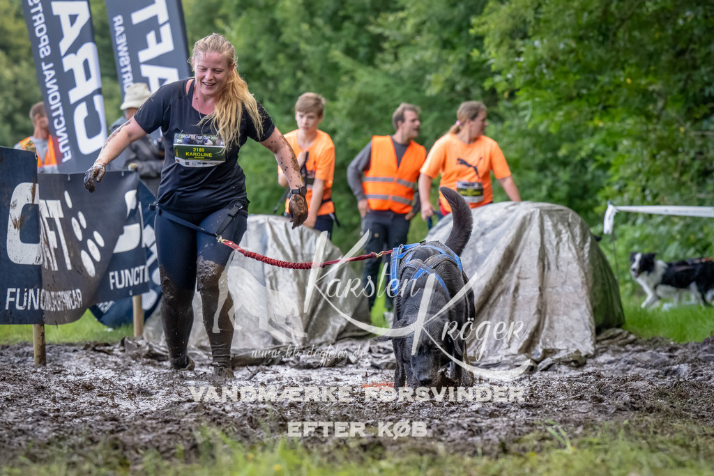 1153_ZZ90087-Bearbeitet | kk-dogfotos