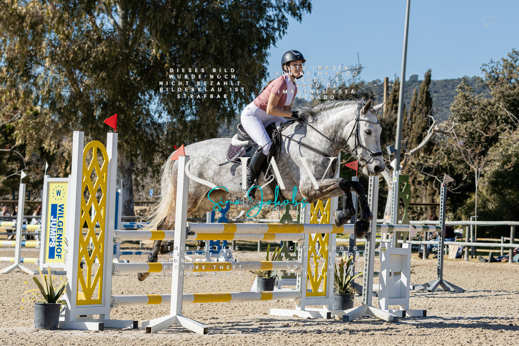 IMG_1130 | s-jay-photography - Realisiert mit Pictrs.com