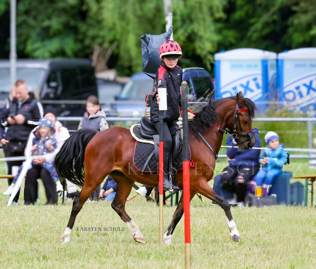1B3A0349 | Reitsport Reiten