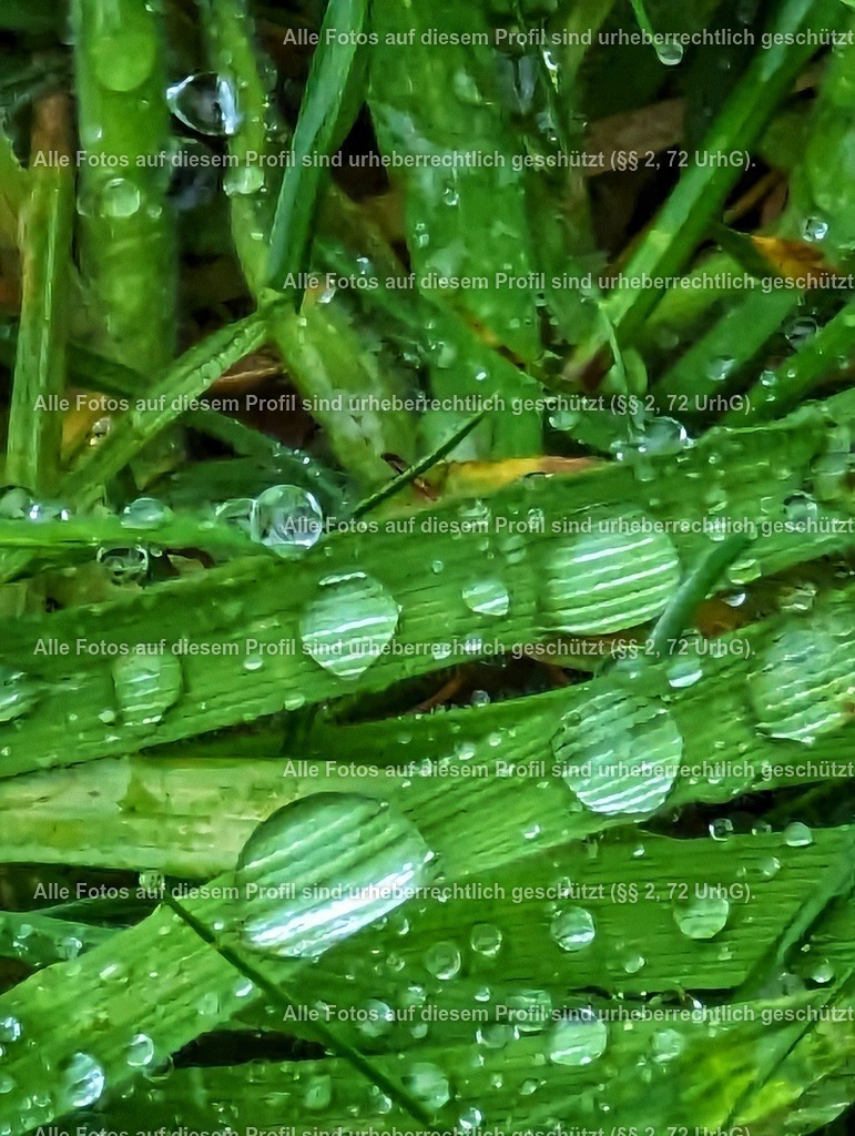 PXL_20230506_050247891-01 | krollfotografie - Realisiert mit Pictrs.com