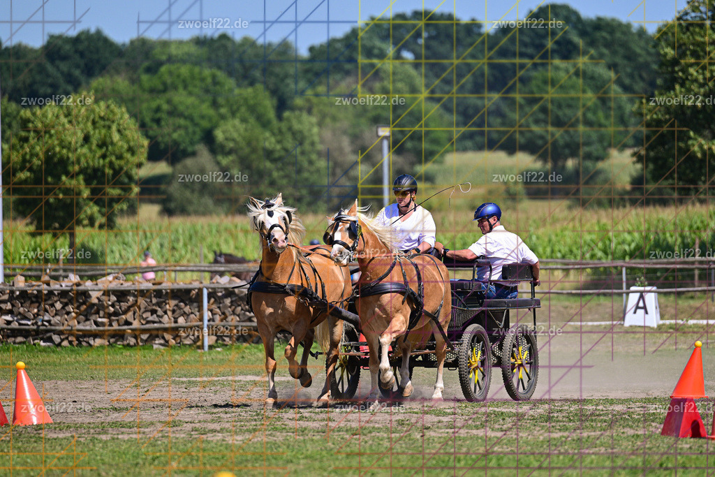 30 Jahre RFV Pulsnitz e.V., Pulsnitz am 09.08.2026 | Zur 28. breitensportlichen Veranstaltung des RFV Pulsnitz e.V. fanden verschiedene Wettbewerbe in nahezu allen Disziplinen des Pferdesport statt. - 18 Kegel-Fahr-Wettbewerb - Realisiert mit Pictrs.com