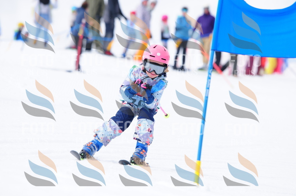 A3667 | holidayphoto